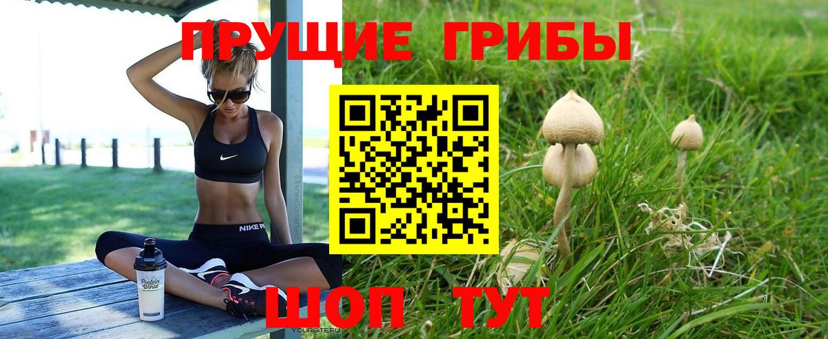 Галлюциногенные грибы мухоморы Мариинск