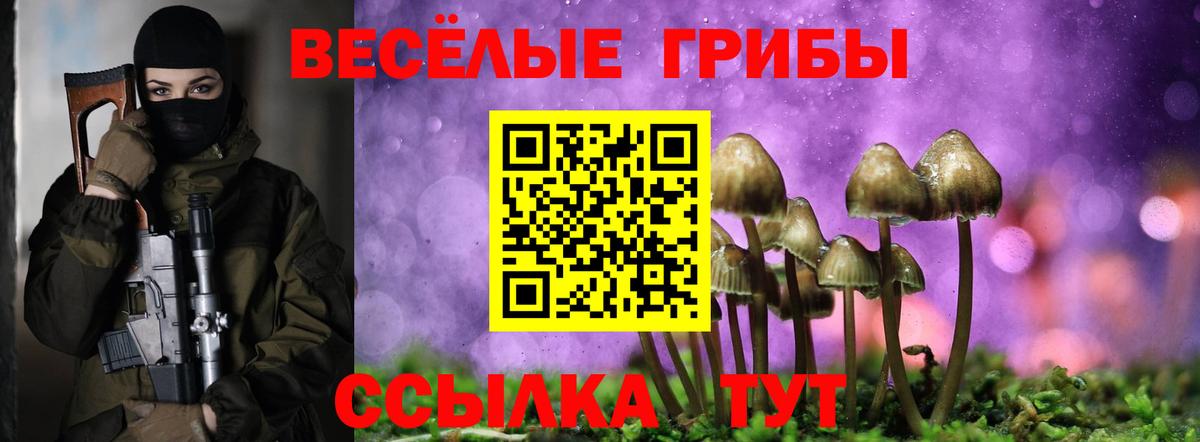 Мариинск  Галлюциногенные грибы Cubensis  Псилоцибиновые грибы мицелий  Вход с VPN 